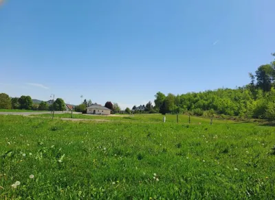 Grundstück kaufen in Südoststeiermark – 1 000 m² – Bild 3 von 8