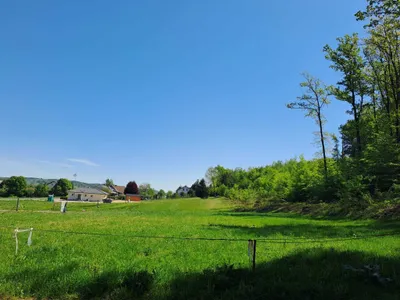 Grundstück kaufen in Südoststeiermark – 1 000 m² – Bild 5 von 8