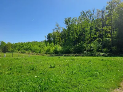 Grundstück kaufen in Südoststeiermark – 1 000 m² – Bild 6 von 8