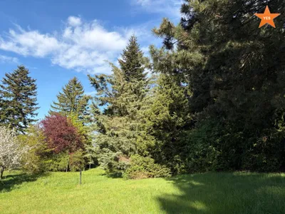 Grundstück kaufen in Tulln – 2 800 m², € 699.000 – Bild 4 von 21