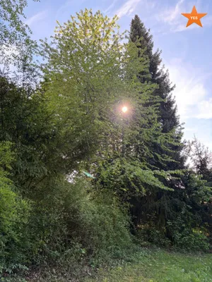 Grundstück kaufen in Tulln – 2 800 m², € 699.000 – Bild 11 von 21