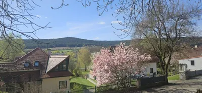 Grundstück kaufen in Wiener Neustadt Land – 2 209 m², € 265.000 – Bild 1 von 10