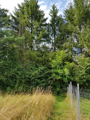 Grundstück kaufen in Mödling – 2 060 m², € 28.990 – Bild 12 von 13