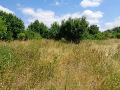 Grundstück kaufen in Österreich – 2 694 m², € 5.500 – Bild 8 von 17