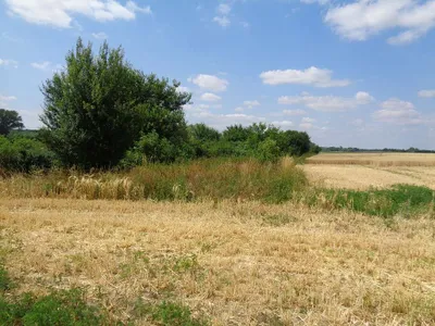 Grundstück kaufen in Österreich – 2 694 m², € 5.500 – Bild 11 von 17