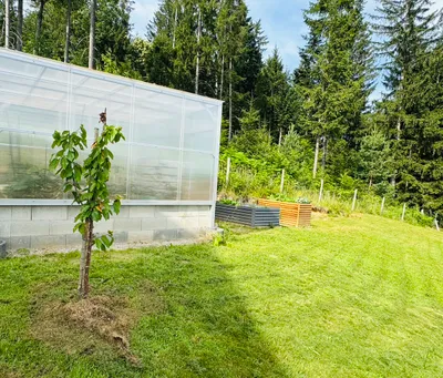 Grundstück kaufen in Deutschlandsberg – 902 m², € 73.000 – Bild 12 von 13