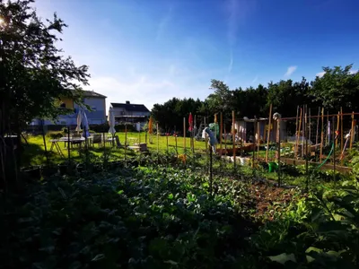 Grundstück kaufen in Wiener Neustadt Land – 516 m², € 199.000 – Bild 4 von 7