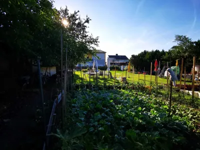 Grundstück kaufen in Wiener Neustadt Land – 516 m², € 199.000 – Bild 6 von 7