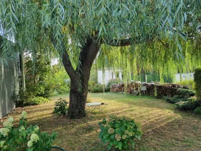 Haus kaufen in Graz-Umgebung – 168 m², € 867.500 – Bild 26 von 33
