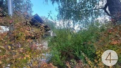 Haus kaufen in Gmünd – 709 m², € 199.000 – Bild 5 von 40