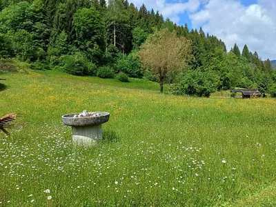 Immobilie kaufen in Feldkirchen – 800 m², € 1.790.000 – Bild 32 von 32
