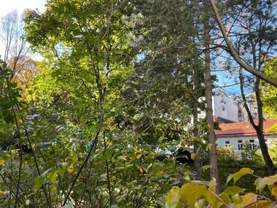 1-Zimmer-Gewerbeimmobilie mieten in Wien – 35 m², € 240 – Bild 16 von 17