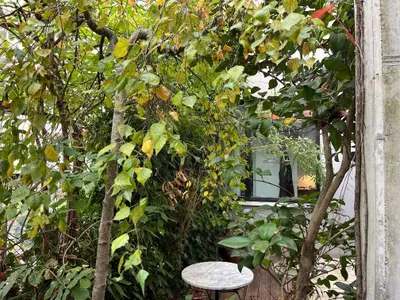 1-Zimmer-Gewerbeimmobilie mieten in Wien – 35 m², € 240 – Bild 15 von 17