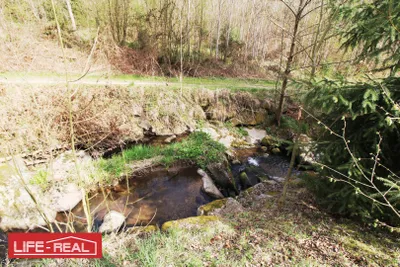 Immobilie kaufen in Freistadt – 2 873 m², € 59.000 – Bild 4 von 6