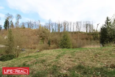 Immobilie kaufen in Freistadt – 2 873 m², € 59.000 – Bild 3 von 6