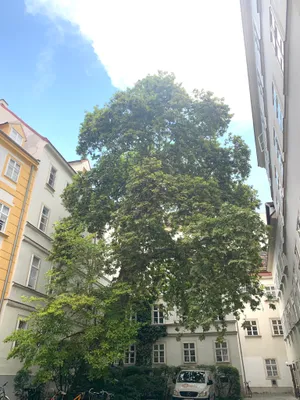 1-Zimmer-Wohnung mieten in Wien – 40 m², € 1.014 – Bild 16 von 17