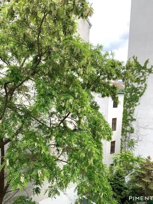5-Zimmer-Wohnung mieten in Wien – 132,14 m², € 1.721 – Bild 15 von 16