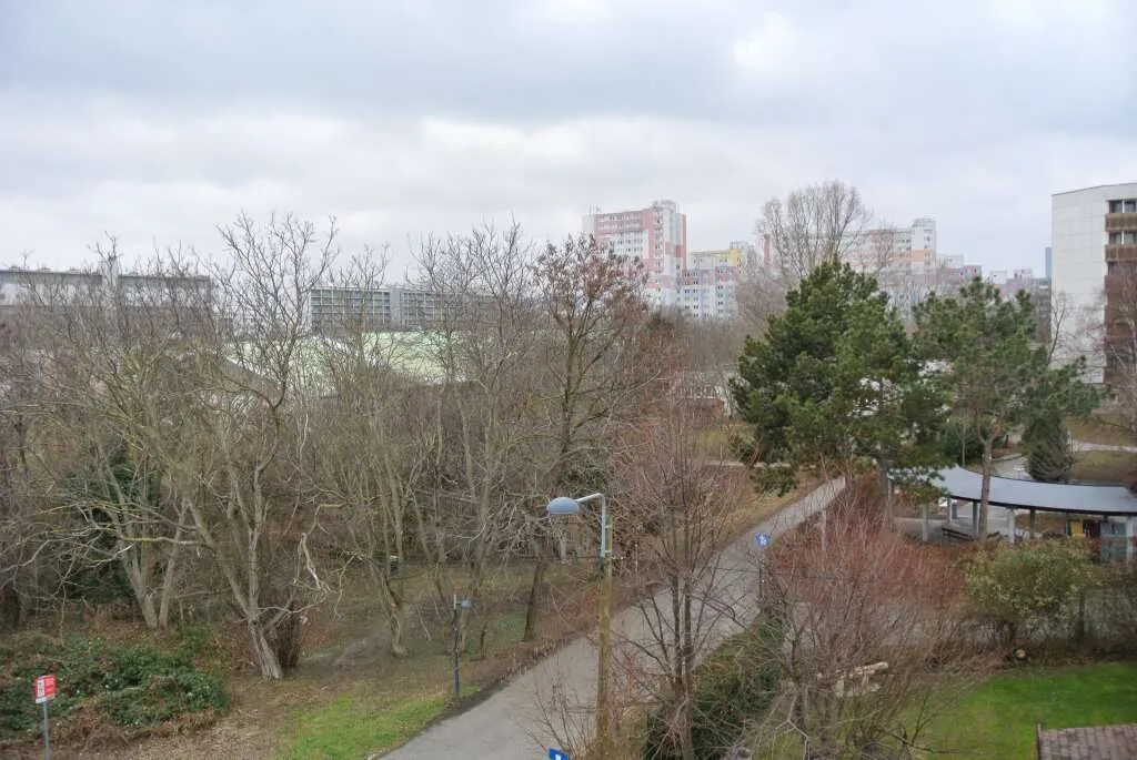 Baumer 21- Cooler Grundrisse in ruhiger Lage, Nähe U6 Stadion Floridsdorf - Vista 3