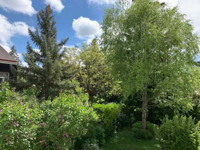 2-Zimmer-Wohnung mieten in Wien – 55 m², € 980 – Bild 11 von 13