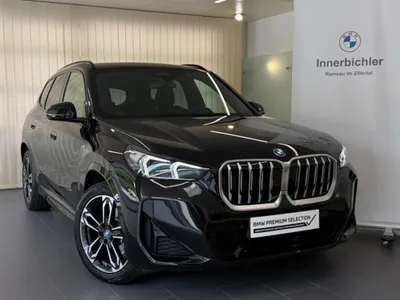BMW X1 xDrive25e