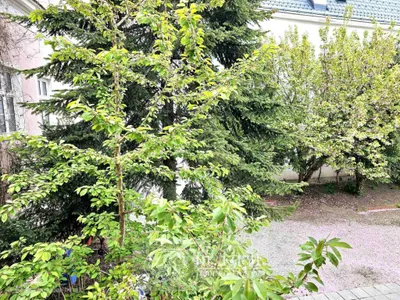 5-Zimmer-Wohnung mieten in Korneuburg – 166 m², € 1.787 – Bild 8 von 17