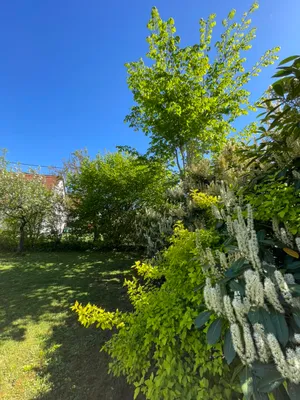 Haus kaufen in Linz Land – 80 m², € 379.000 – Bild 82 von 95