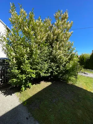 Haus kaufen in Linz Land – 80 m², € 379.000 – Bild 75 von 95