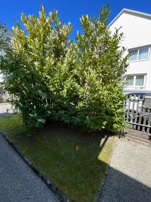 Haus kaufen in Linz Land – 80 m², € 379.000 – Bild 76 von 95