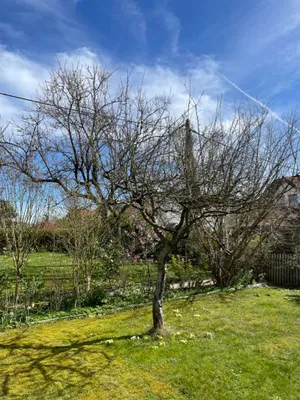 Haus kaufen in Linz Land – 80 m², € 379.000 – Bild 21 von 95