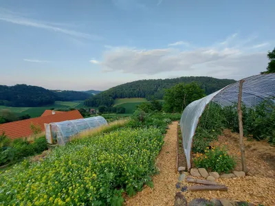 3-Zimmer-Immobilie mieten in Südoststeiermark – 121 m², € 1.160 – Bild 10 von 13