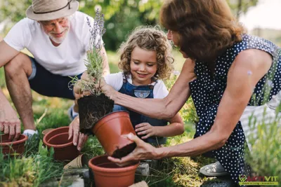 Kleingarten zur Pacht. - Neue Gartenanlage in Planung: Jetzt vormerken lassen! – Bild 3