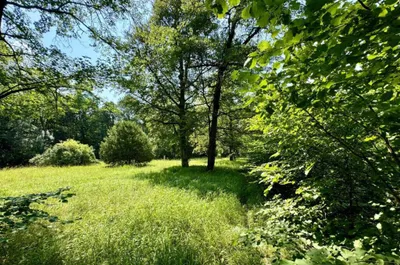 9-Zimmer-Haus kaufen in Baden – 280 m², € 690.000 – Bild 8 von 17