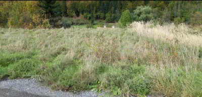 Grundstück kaufen in Liezen – 1 576 m², € 35.000 – Bild 9 von 11
