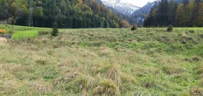 Grundstück kaufen in Liezen – 1 576 m², € 35.000 – Bild 10 von 11