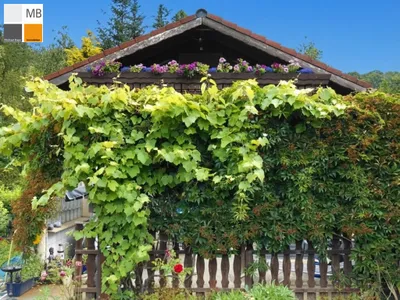 2-Zimmer-Haus kaufen in Mödling – 70 m², € 240.000 – Bild 17 von 20