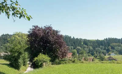 Grundstück kaufen in Grieskirchen – 1 390 m², € 273.000 – Bild 1 von 5