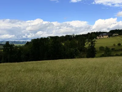 Grundstück kaufen in Eferding – 3 845 m², € 45.900 – Bild 2 von 4