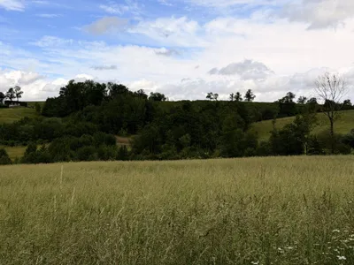 Grundstück kaufen in Eferding – 3 845 m², € 45.900 – Bild 3 von 4