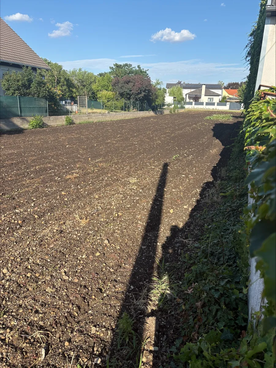 Baugrundstück in Mönchhof - 1.100 m² in bestehender Wohnstraße – pohled 2