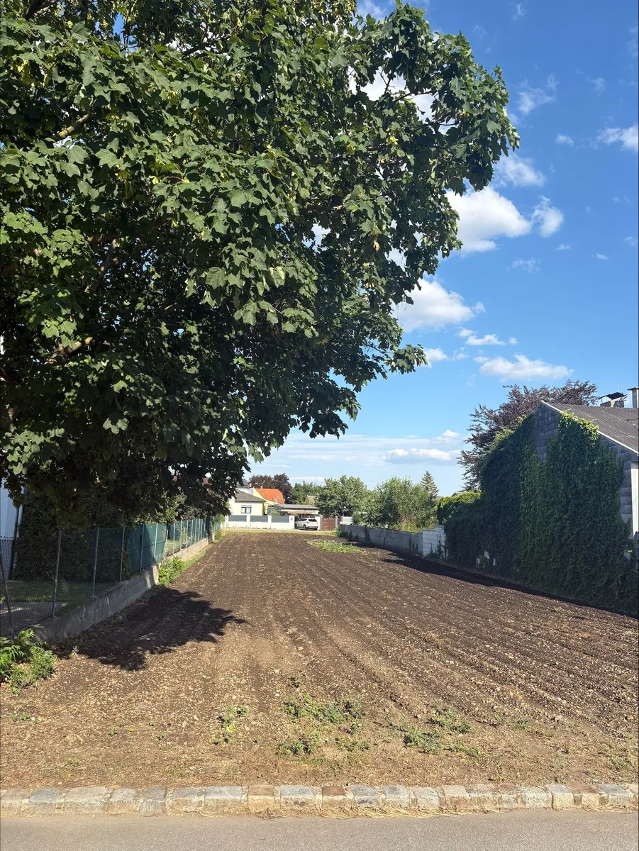 Baugrundstück in Mönchhof - 1.100 m² in bestehender Wohnstraße – pohled 3