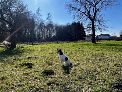 Grundstück kaufen in Braunau am Inn – 683 m², € 159.000 – Bild 7 von 9