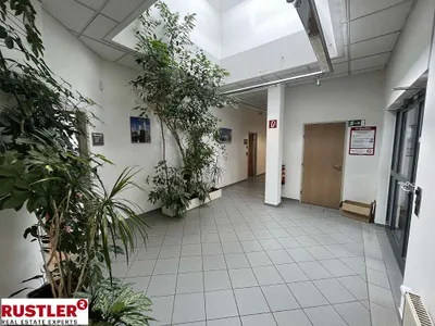 Immobilie mieten in Wien – 238 m², € 4.999 – Bild 28 von 31