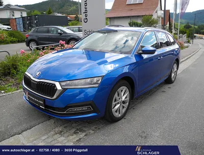 Skoda Octavia 2.0 TDI DPF Style (EURO 6d)