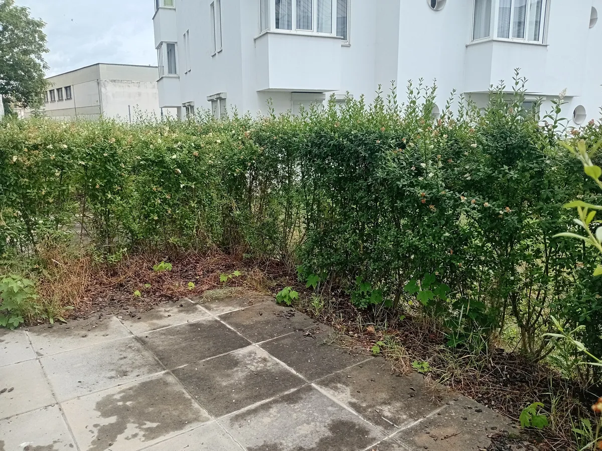 1 Zimmer-Wohnung | Garten mit Terrasse | Linz | verfügbar ab sofort - Ansicht 3