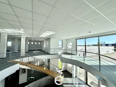 Immobilie mieten in Wels-Land – 2 828 m² – Bild 4 von 29