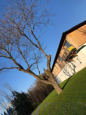 1-Zimmer-Wohnung mieten in Amstetten – 40 m², € 665 – Bild 12 von 14