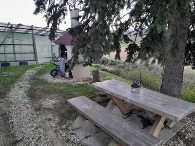 5-Zimmer-Haus mieten in Oberwart – 140 m², € 1.150 – Bild 14 von 39