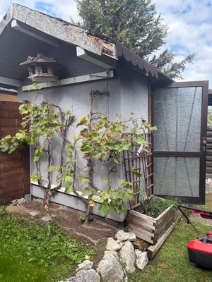 Immobilie kaufen in Kirchdorf an der Krems – 40 m², € 11.500 – Bild 16 von 30