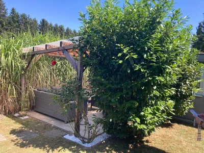Immobilie kaufen in Kirchdorf an der Krems – 40 m², € 11.500 – Bild 13 von 30