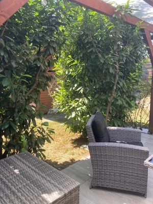 Immobilie kaufen in Kirchdorf an der Krems – 40 m², € 11.500 – Bild 5 von 30